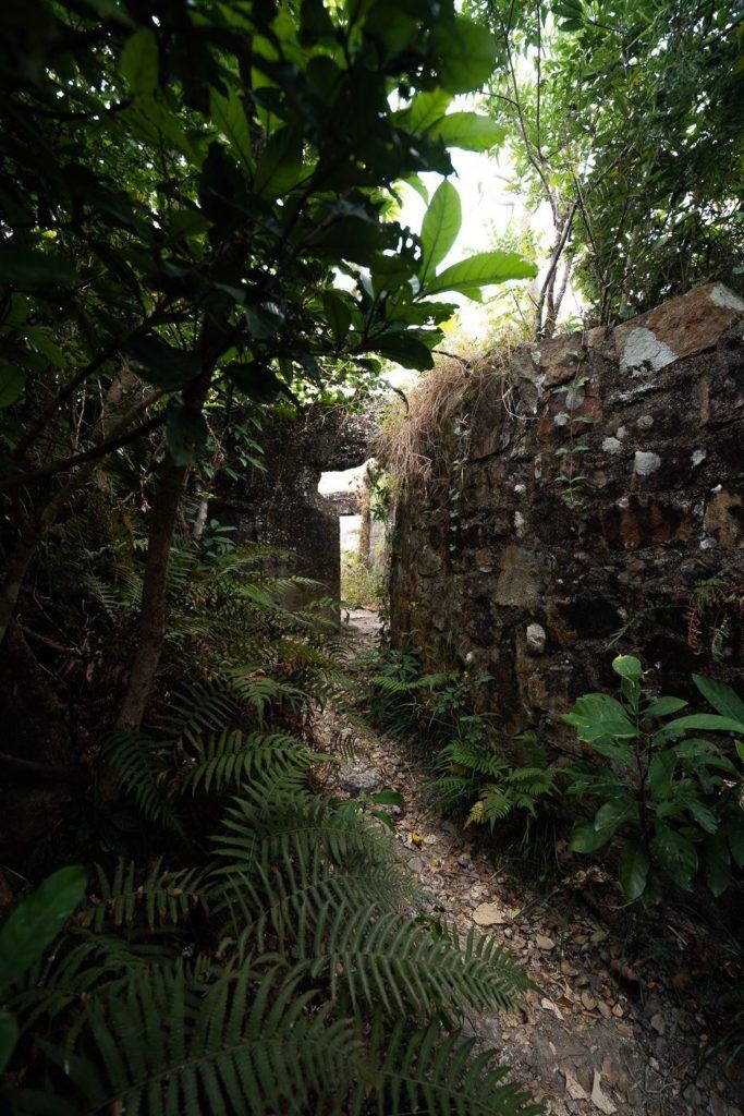 an old stone building surrounded by trees and ferns.