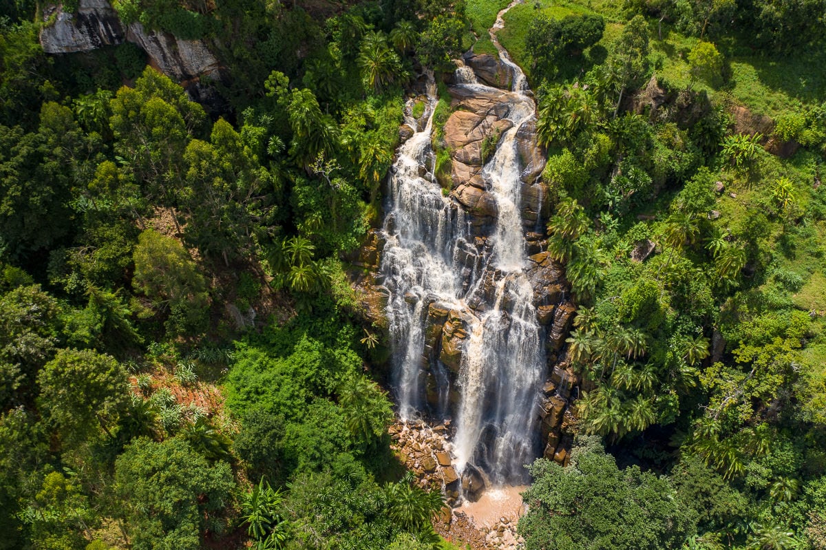 a waterfall in the middle of a lush green forest