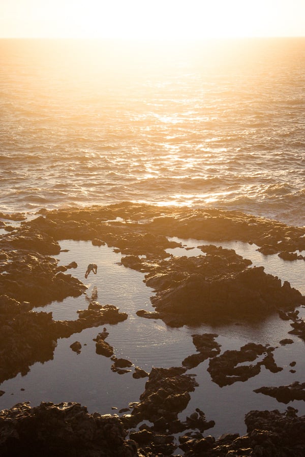 makapuu tide pools map, makapuu tide pools, makapuu tide pools, sunrise makapuu lighthouse, east coast tide pools, makapuu lookout, lighthouses on oahu, makapuu lighthouse hike, makapuu lighthouse directions, tide pools oahu, makapuu lookout oahu, makapuu hiking trail, hawaii tide pools, 