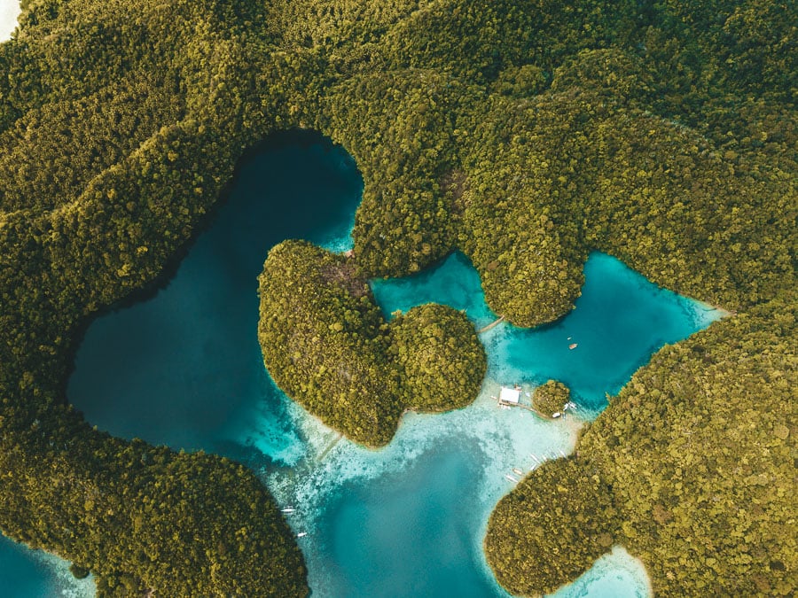 an aerial view of a body of water surrounded by trees.